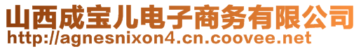 山西成宝儿电子商务有限公司