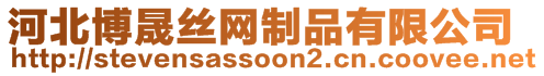 河北博晟絲網(wǎng)制品有限公司