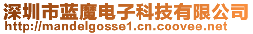 深圳市藍魔電子科技有限公司