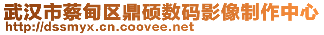 武汉市蔡甸区鼎硕数码影像制作中心