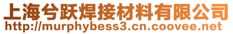 上海兮跃焊接材料有限公司