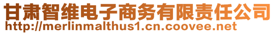 甘肃智维电子商务有限责任公司