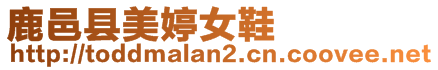 鹿邑縣美婷女鞋