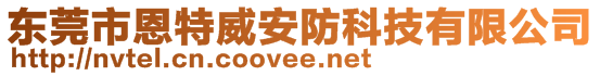 东莞市恩特威安防科技有限公司