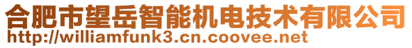 合肥市望岳智能機(jī)電技術(shù)有限公司