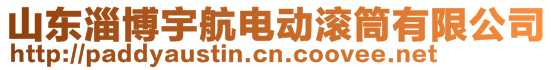 山東淄博宇航電動滾筒有限公司