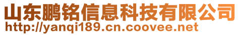 山東鵬銘信息科技有限公司