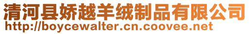 清河縣嬌越羊絨制品有限公司