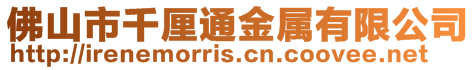 佛山市千厘通金屬有限公司