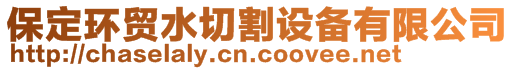 保定環(huán)貿(mào)水切割設(shè)備有限公司