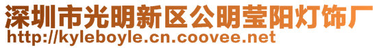 深圳市光明新區公明瑩陽燈飾廠