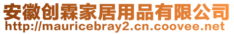 安徽創(chuàng)霖家居用品有限公司