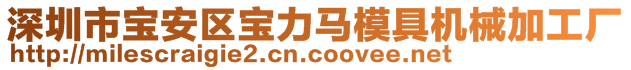 深圳市寶安區(qū)寶力馬模具機(jī)械加工廠