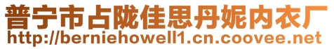 普寧市占隴佳思丹妮內(nèi)衣廠