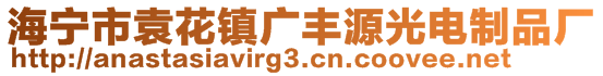 海寧市袁花鎮(zhèn)廣豐源光電制品廠