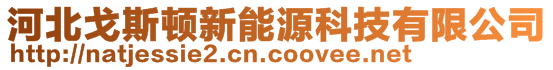 河北戈斯頓新能源科技有限公司