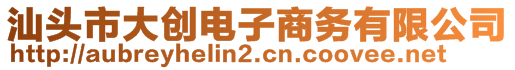 汕頭市大創(chuàng)電子商務(wù)有限公司