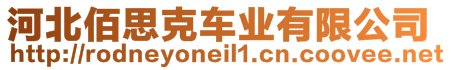 河北佰思克車業(yè)有限公司