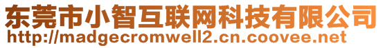 東莞市小智互聯(lián)網(wǎng)科技有限公司