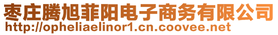 棗莊騰旭菲陽(yáng)電子商務(wù)有限公司