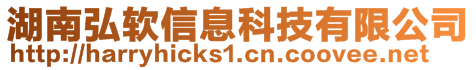 湖南弘軟信息科技有限公司