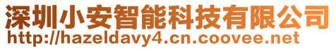深圳小安智能科技有限公司