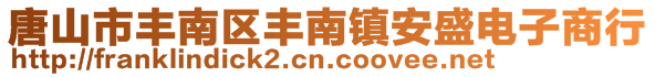 唐山市丰南区丰南镇安盛电子商行