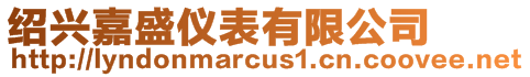 紹興嘉盛儀表有限公司