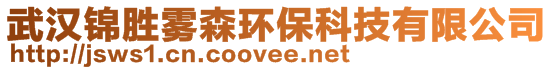 武汉锦胜雾森环保科技有限公司