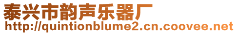 泰興市韻聲樂器廠