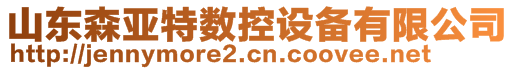 山東森亞特數(shù)控設(shè)備有限公司