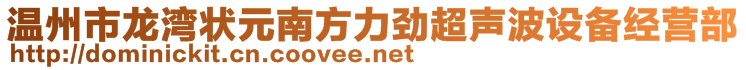 温州市龙湾状元南方力劲超声波设备经营部