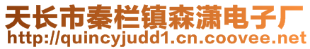 天長(zhǎng)市秦欄鎮(zhèn)森瀟電子廠