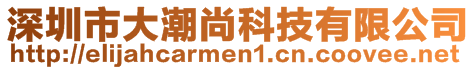 深圳市大潮尚科技有限公司