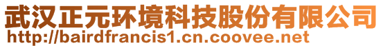 武汉正元环境科技股份有限公司