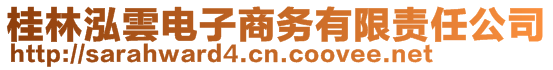 桂林泓雲(yún)電子商務(wù)有限責(zé)任公司