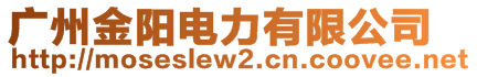 广州金阳电力有限公司