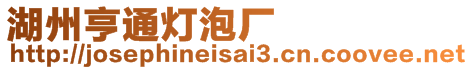 湖州亨通燈泡廠