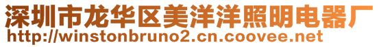 深圳市龍華區(qū)美洋洋照明電器廠