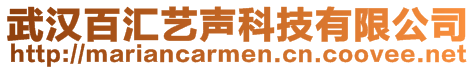 武漢百匯藝聲科技有限公司