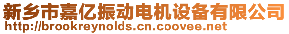 新鄉(xiāng)市嘉億振動電機設(shè)備有限公司