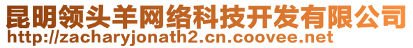 昆明領(lǐng)頭羊網(wǎng)絡(luò)科技開發(fā)有限公司