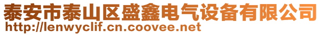 泰安市泰山區盛鑫電氣設備有限公司
