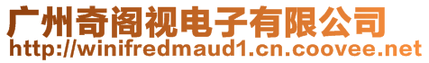 廣州奇閣視電子有限公司