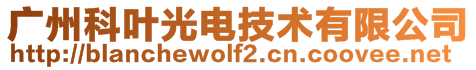 广州科叶光电技术有限公司