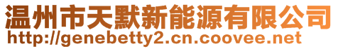 溫州市天默新能源有限公司