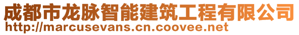 成都市龍脈智能建筑工程有限公司