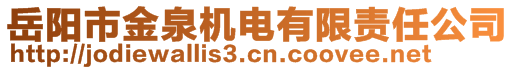 岳陽市金泉機電有限責任公司