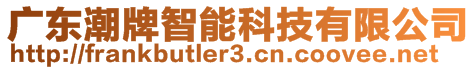 廣東潮牌智能科技有限公司