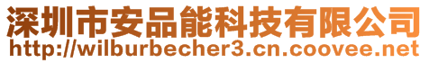 深圳市安品能科技有限公司